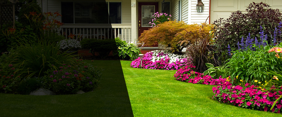 Nevada Landscapers
